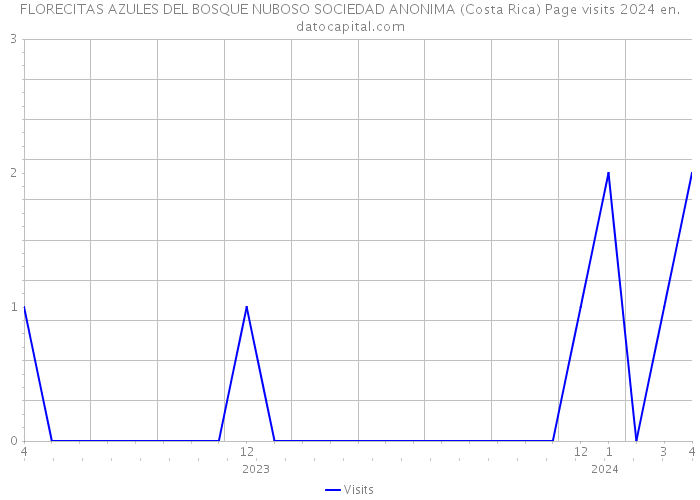 FLORECITAS AZULES DEL BOSQUE NUBOSO SOCIEDAD ANONIMA (Costa Rica) Page visits 2024 