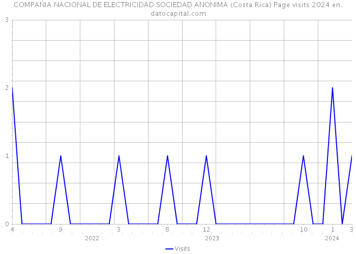 COMPAŃIA NACIONAL DE ELECTRICIDAD SOCIEDAD ANONIMA (Costa Rica) Page visits 2024 