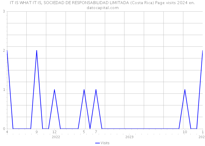 IT IS WHAT IT IS, SOCIEDAD DE RESPONSABILIDAD LIMITADA (Costa Rica) Page visits 2024 