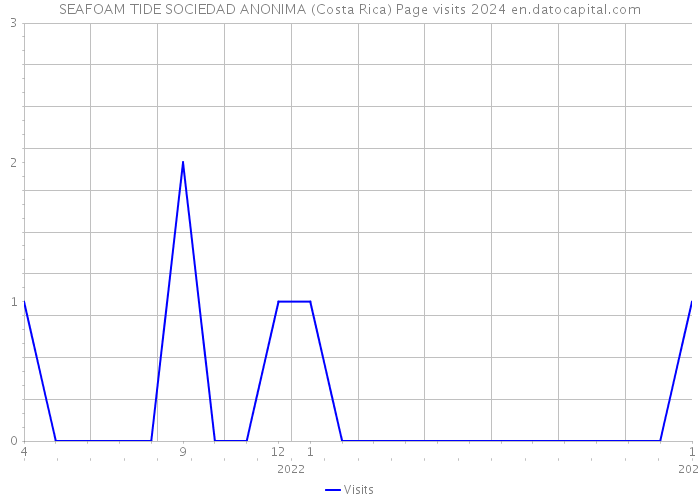 SEAFOAM TIDE SOCIEDAD ANONIMA (Costa Rica) Page visits 2024 