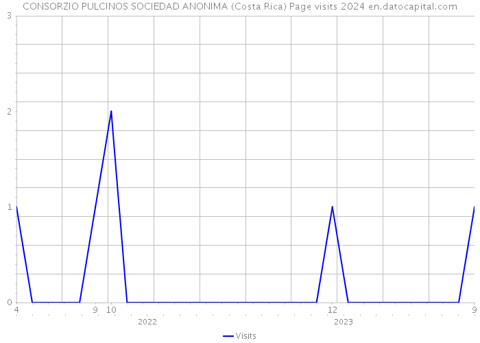 CONSORZIO PULCINOS SOCIEDAD ANONIMA (Costa Rica) Page visits 2024 