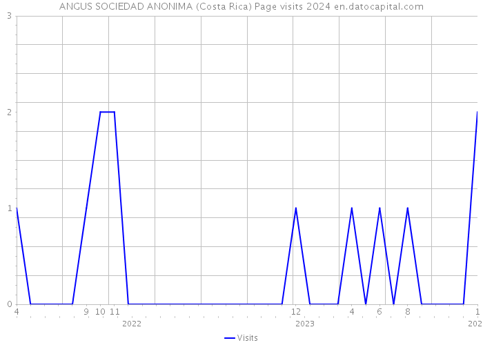ANGUS SOCIEDAD ANONIMA (Costa Rica) Page visits 2024 