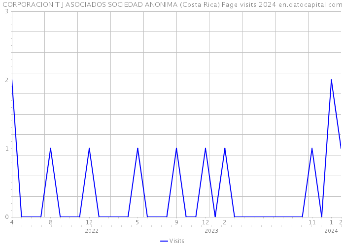 CORPORACION T J ASOCIADOS SOCIEDAD ANONIMA (Costa Rica) Page visits 2024 