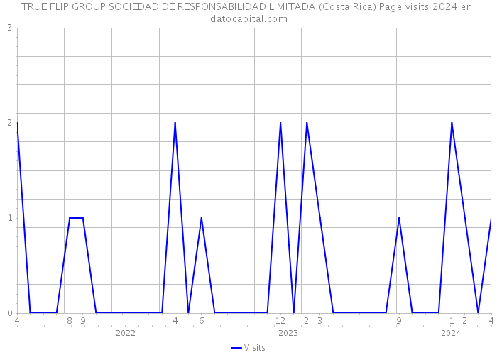 TRUE FLIP GROUP SOCIEDAD DE RESPONSABILIDAD LIMITADA (Costa Rica) Page visits 2024 