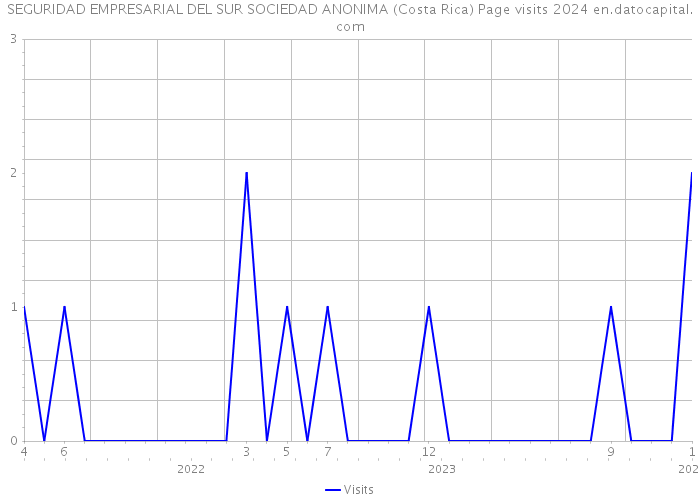 SEGURIDAD EMPRESARIAL DEL SUR SOCIEDAD ANONIMA (Costa Rica) Page visits 2024 
