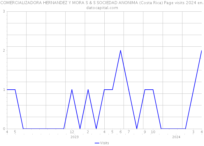 COMERCIALIZADORA HERNANDEZ Y MORA S & S SOCIEDAD ANONIMA (Costa Rica) Page visits 2024 