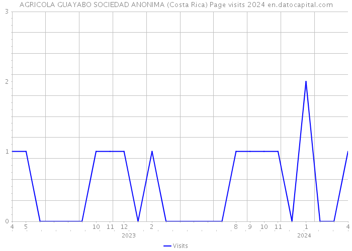 AGRICOLA GUAYABO SOCIEDAD ANONIMA (Costa Rica) Page visits 2024 