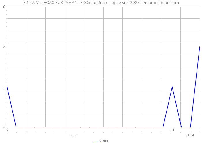 ERIKA VILLEGAS BUSTAMANTE (Costa Rica) Page visits 2024 