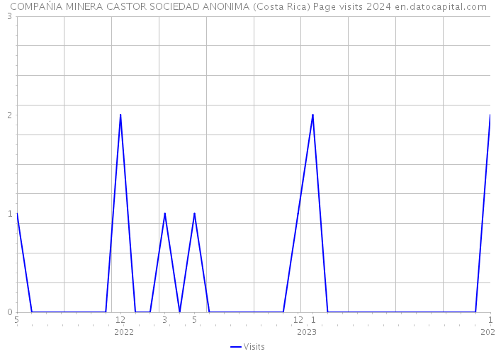 COMPAŃIA MINERA CASTOR SOCIEDAD ANONIMA (Costa Rica) Page visits 2024 