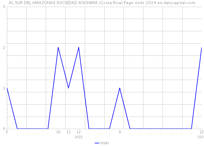 AL SUR DEL AMAZONAS SOCIEDAD ANONIMA (Costa Rica) Page visits 2024 