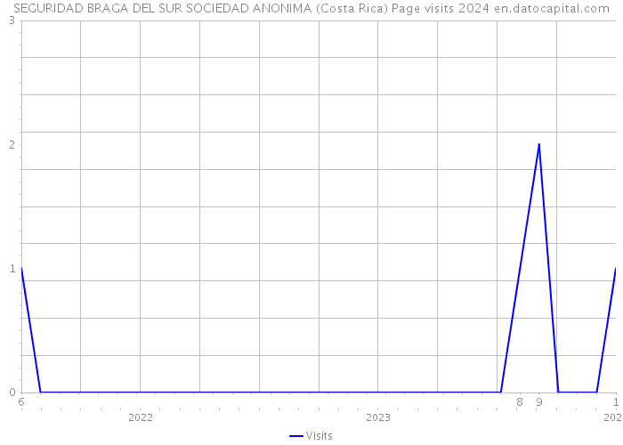 SEGURIDAD BRAGA DEL SUR SOCIEDAD ANONIMA (Costa Rica) Page visits 2024 