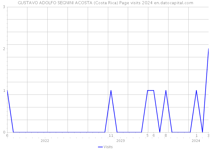 GUSTAVO ADOLFO SEGNINI ACOSTA (Costa Rica) Page visits 2024 