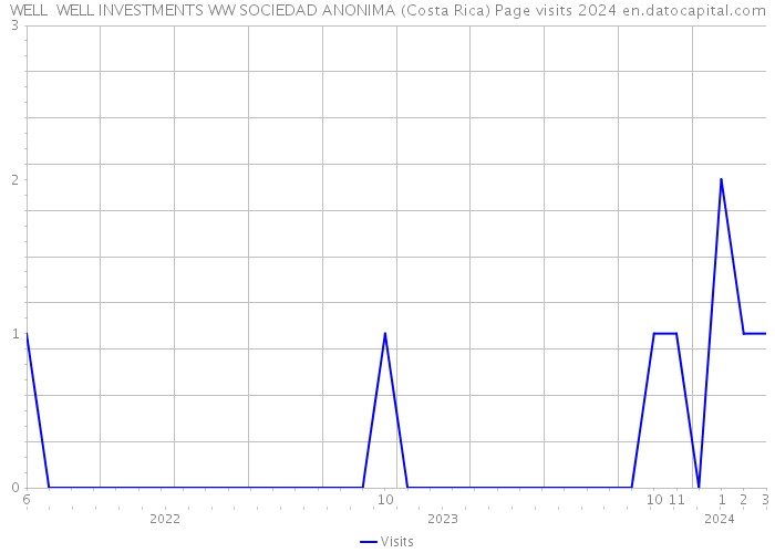 WELL WELL INVESTMENTS WW SOCIEDAD ANONIMA (Costa Rica) Page visits 2024 