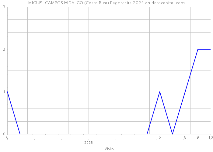 MIGUEL CAMPOS HIDALGO (Costa Rica) Page visits 2024 