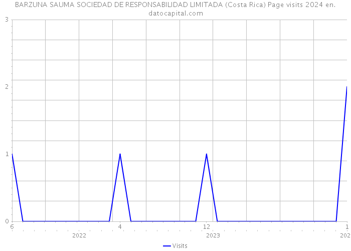 BARZUNA SAUMA SOCIEDAD DE RESPONSABILIDAD LIMITADA (Costa Rica) Page visits 2024 