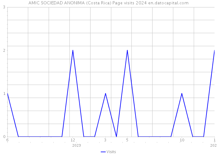 AMIC SOCIEDAD ANONIMA (Costa Rica) Page visits 2024 
