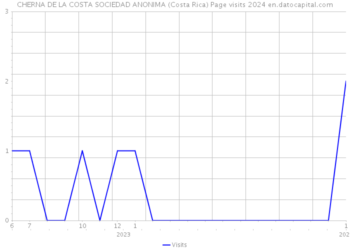 CHERNA DE LA COSTA SOCIEDAD ANONIMA (Costa Rica) Page visits 2024 