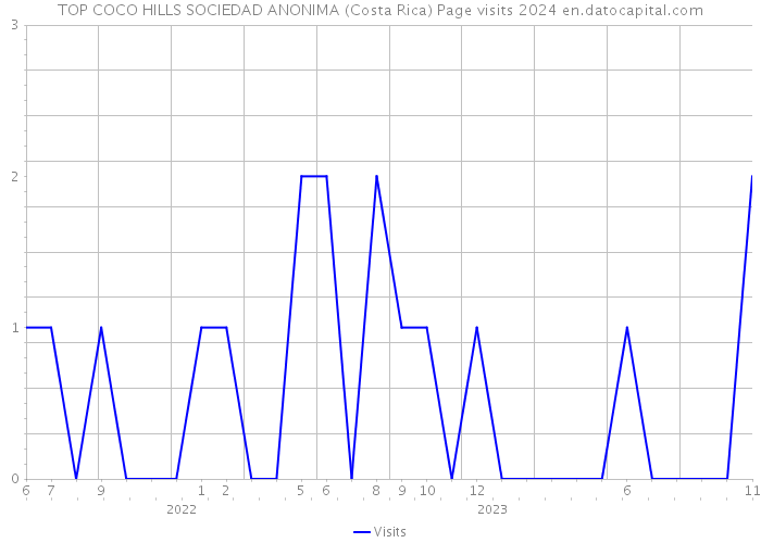 TOP COCO HILLS SOCIEDAD ANONIMA (Costa Rica) Page visits 2024 