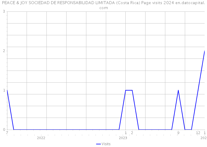 PEACE & JOY SOCIEDAD DE RESPONSABILIDAD LIMITADA (Costa Rica) Page visits 2024 