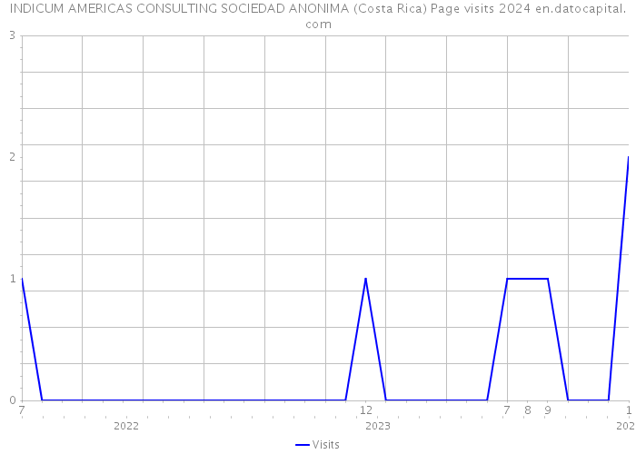 INDICUM AMERICAS CONSULTING SOCIEDAD ANONIMA (Costa Rica) Page visits 2024 