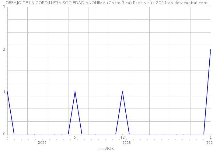 DEBAJO DE LA CORDILLERA SOCIEDAD ANONIMA (Costa Rica) Page visits 2024 