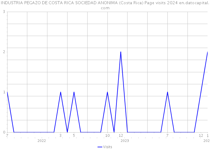 INDUSTRIA PEGAZO DE COSTA RICA SOCIEDAD ANONIMA (Costa Rica) Page visits 2024 
