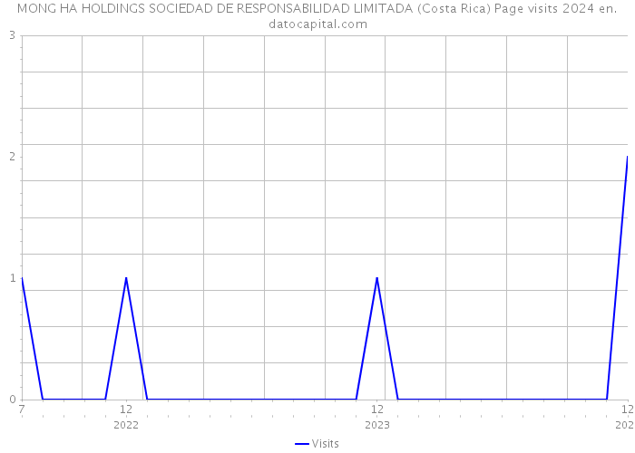 MONG HA HOLDINGS SOCIEDAD DE RESPONSABILIDAD LIMITADA (Costa Rica) Page visits 2024 