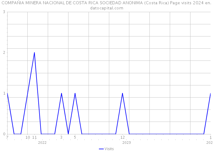 COMPAŃIA MINERA NACIONAL DE COSTA RICA SOCIEDAD ANONIMA (Costa Rica) Page visits 2024 