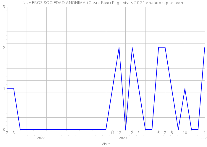 NUMEROS SOCIEDAD ANONIMA (Costa Rica) Page visits 2024 