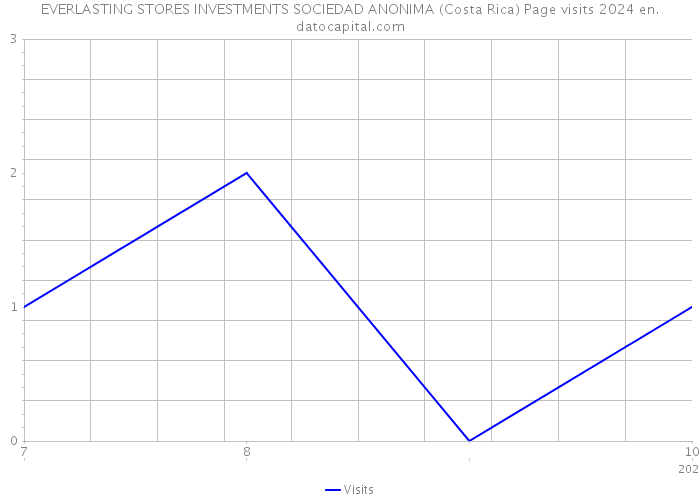 EVERLASTING STORES INVESTMENTS SOCIEDAD ANONIMA (Costa Rica) Page visits 2024 