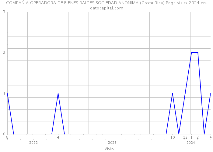 COMPAŃIA OPERADORA DE BIENES RAICES SOCIEDAD ANONIMA (Costa Rica) Page visits 2024 