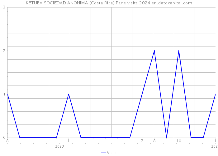 KETUBA SOCIEDAD ANONIMA (Costa Rica) Page visits 2024 