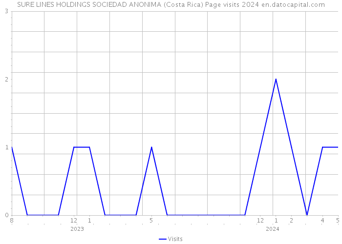 SURE LINES HOLDINGS SOCIEDAD ANONIMA (Costa Rica) Page visits 2024 