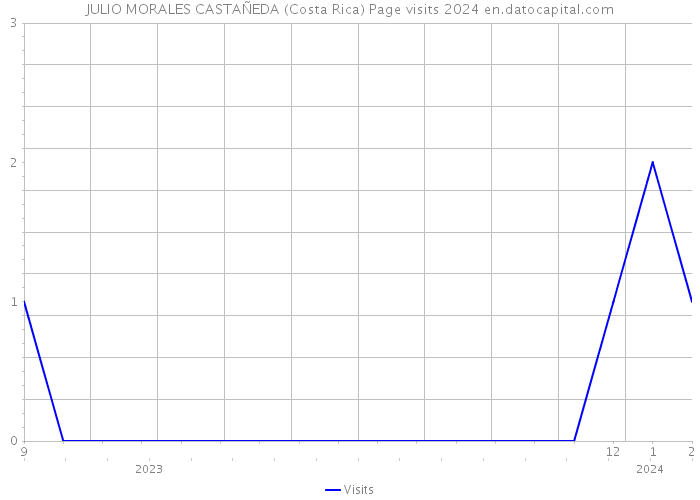JULIO MORALES CASTAÑEDA (Costa Rica) Page visits 2024 