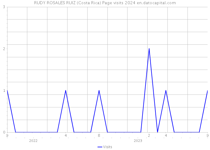 RUDY ROSALES RUIZ (Costa Rica) Page visits 2024 