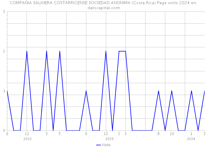 COMPAŃIA SALINERA COSTARRICENSE SOCIEDAD ANONIMA (Costa Rica) Page visits 2024 