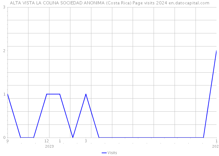 ALTA VISTA LA COLINA SOCIEDAD ANONIMA (Costa Rica) Page visits 2024 