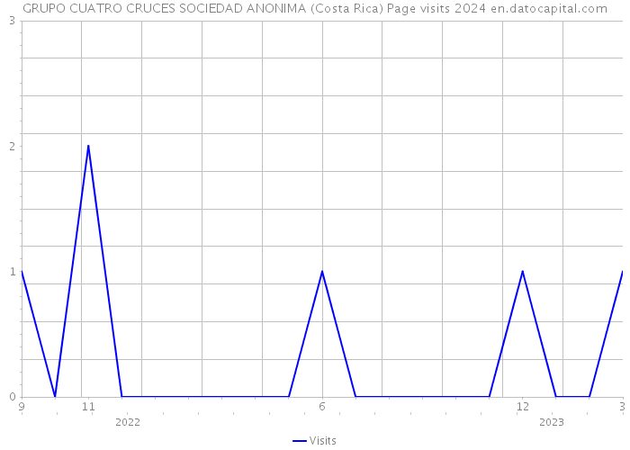 GRUPO CUATRO CRUCES SOCIEDAD ANONIMA (Costa Rica) Page visits 2024 