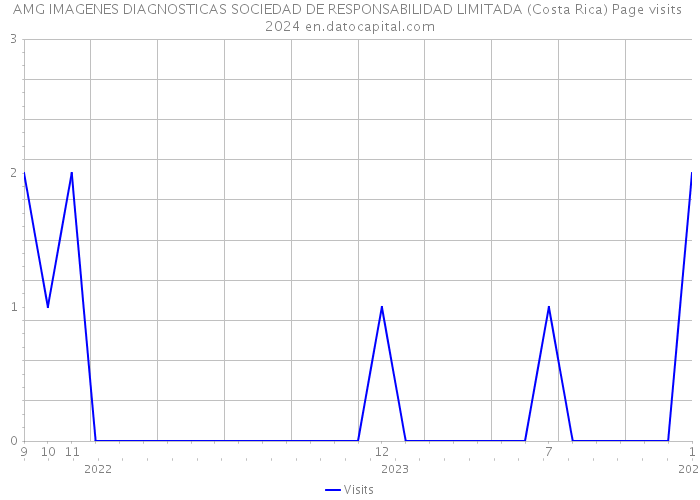 AMG IMAGENES DIAGNOSTICAS SOCIEDAD DE RESPONSABILIDAD LIMITADA (Costa Rica) Page visits 2024 