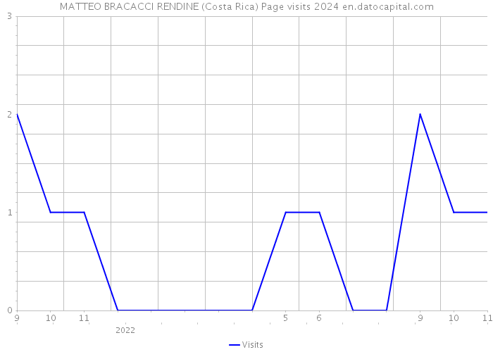 MATTEO BRACACCI RENDINE (Costa Rica) Page visits 2024 