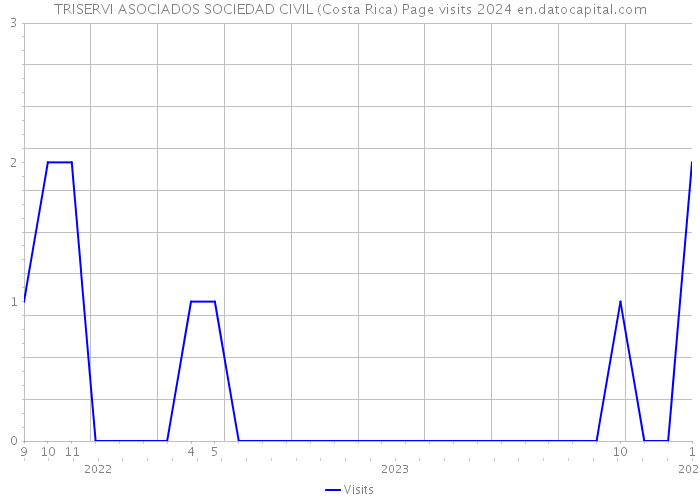 TRISERVI ASOCIADOS SOCIEDAD CIVIL (Costa Rica) Page visits 2024 