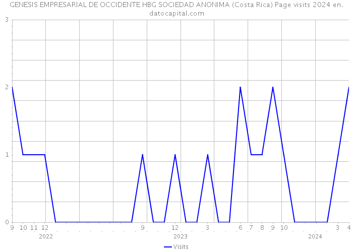 GENESIS EMPRESARIAL DE OCCIDENTE HBG SOCIEDAD ANONIMA (Costa Rica) Page visits 2024 