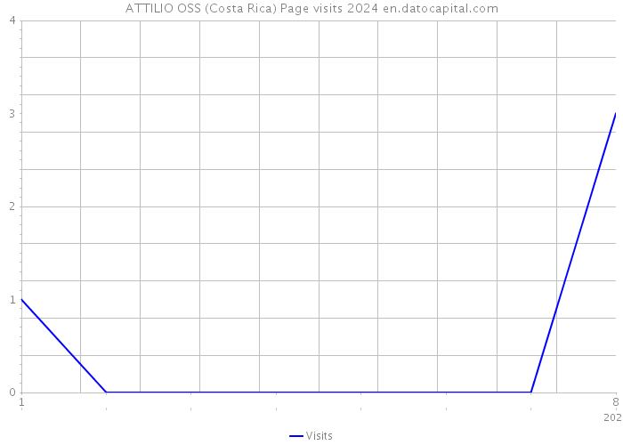 ATTILIO OSS (Costa Rica) Page visits 2024 