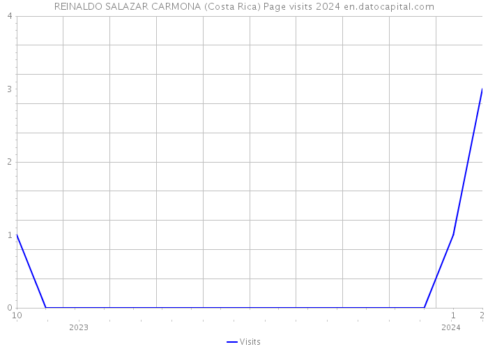 REINALDO SALAZAR CARMONA (Costa Rica) Page visits 2024 