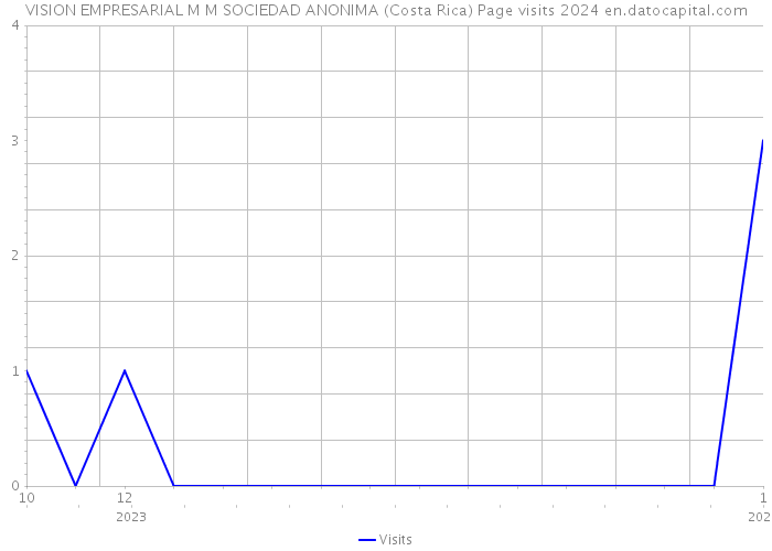 VISION EMPRESARIAL M M SOCIEDAD ANONIMA (Costa Rica) Page visits 2024 