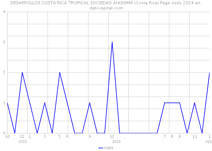DESARROLLOS COSTA RICA TROPICAL SOCIEDAD ANONIMA (Costa Rica) Page visits 2024 