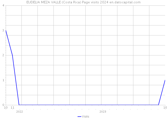 EUDELIA MEZA VALLE (Costa Rica) Page visits 2024 
