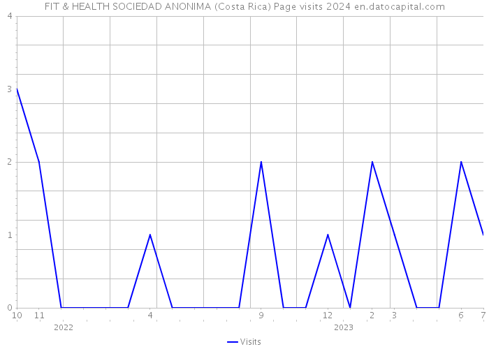 FIT & HEALTH SOCIEDAD ANONIMA (Costa Rica) Page visits 2024 