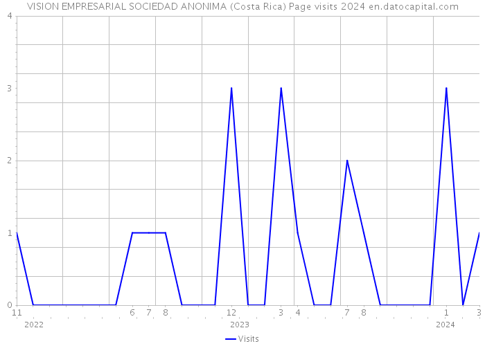 VISION EMPRESARIAL SOCIEDAD ANONIMA (Costa Rica) Page visits 2024 
