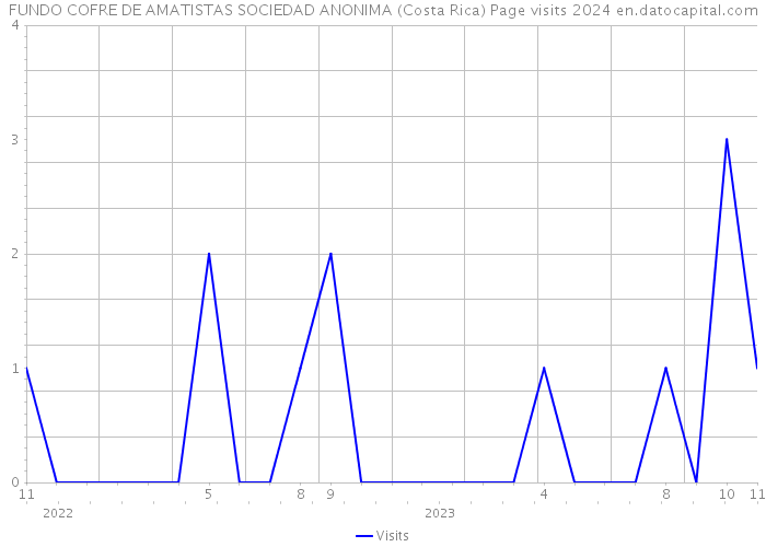 FUNDO COFRE DE AMATISTAS SOCIEDAD ANONIMA (Costa Rica) Page visits 2024 